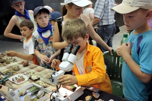 Конкурс 3 - Название работы - Победитель 3